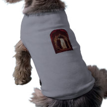 Cães do céu roupa para pet
