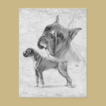 Cães do pugilista cartões postais