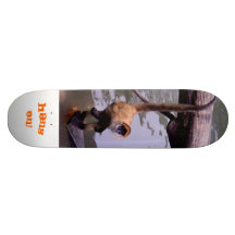 Cair sobre! Skate do macaco