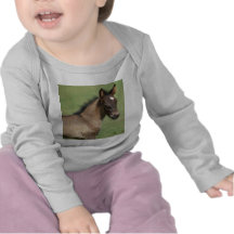 Caiu a safira do potro do pônei camiseta