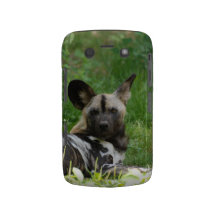 Caixa corajosa de Blackberry do cão selvagem Capa Blackberry Case-Mate