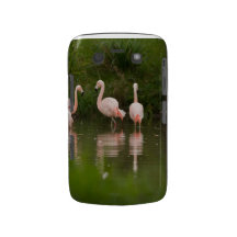 Caixa corajosa de Blackberry dos flamingos Capa Blackberry Bold