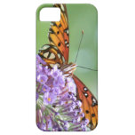 caixa do speck do iPhone 5 iPhone 5 Capa