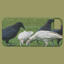 Caixa místico do Corvid-amante do corvo do espírit capas casemate