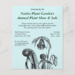 Californica do Darlingtonia, planta carnívora Panfletos Personalizado