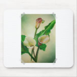 Callas do livro da sucata mouse pads