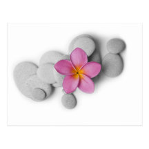 Calma do Frangipani Cartão Postal