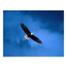 Calvo-Eagle-Alaska Convites Personalizado