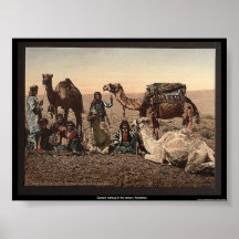 Camelos que param no deserto, Palestina Posters