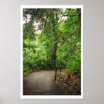 Caminho Poster