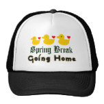 camionista bonito Home Ruptura-Indo ♫♥Spring Hat♥♪ Bone