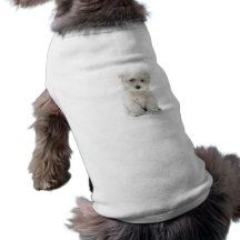 Camisa bonito do animal de estimação de Bichon Fri Camisetas Para Caes