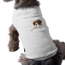 Camisa do animal de estimação do cão do lebreiro roupas para caes