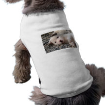 Camisa do animal de estimação do filhote de cachor roupas para pets
