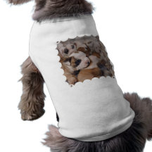Camisa do animal de estimação dos filhotes de cach roupas para cães