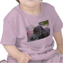 Camisa do pônei t-shirt
