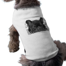 Camiseta de cão do buldogue francês roupa para pets