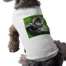 Camiseta de cão do rouco Siberian Camisetas Para Cães