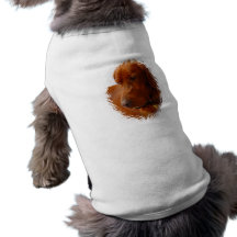 Camiseta de cão do setter irlandês roupa para cães