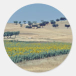 campo amarelo do girassol em flores de Portugal Adesivos