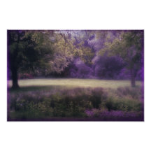 Campo da lavanda dos sonhos artes de fotos