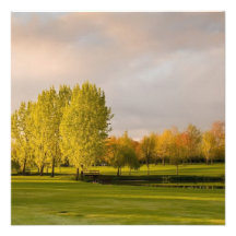 Campo de golfe em convites do outono