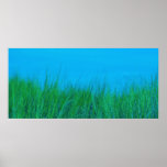 Campo do verde azulado poster