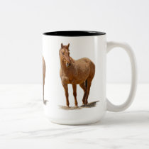 caneca animal eqüino do desenhista dos Cavalo-aman canecas