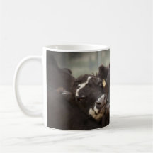 Caneca da vaca