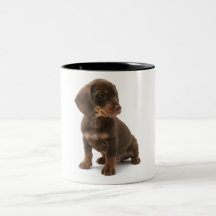 Caneca de café do filhote de cachorro do Dachshund