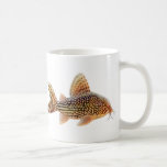 Caneca de Corydoras Sterbai