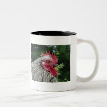 Caneca do Crescimento-Crescimento de Chickie