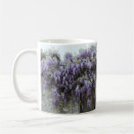 CANECA - glicínia em Viviers France