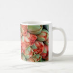 CANECA - grupos das tulipas no mercado em France