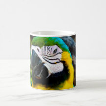 CANECA II do papagaio