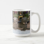 CANECA - na janela da loja - rua Remy France