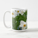 CANECA - primavera Jonquils em France