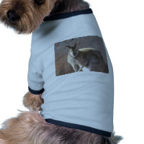 canguru roupas para animais de estimação