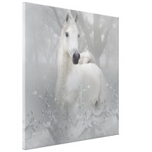 Canvas 24x24 de Wraped do cavalo da fantasia " Impressão De Canvas Esticadas