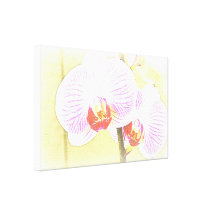 Canvas cor-de-rosa elegantes das orquídeas impressão em canvas