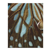 Canvas da arte da borboleta de Brown azul Impressão Em Canvas