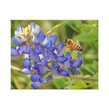 Canvas da foto do Bluebonnet e da abelha Impressão De Canvas Envolvida