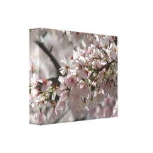 Canvas das flores de cerejeira impressão de canvas esticada