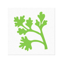 Canvas esticadas da cozinha do cilantro arte verde impressão em tela canvas