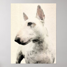 Cão de bull terrier do inglês posters