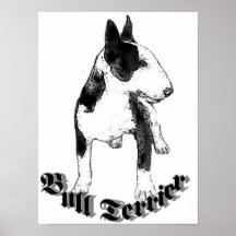 Cão de bull terrier posteres