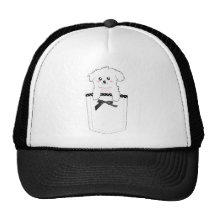 Cão de filhote de cachorro bonito do bolso boné