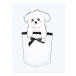 Cão de filhote de cachorro bonito do bolso cartao postal
