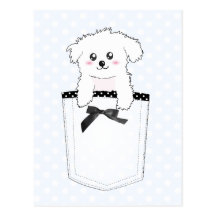 Cão de filhote de cachorro bonito do bolso cartao postal