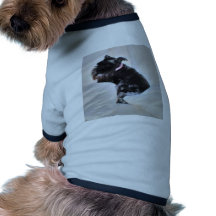 cão de filhote de cachorro preto camisa para caes